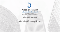 Desktop Screenshot of dinardoent.com